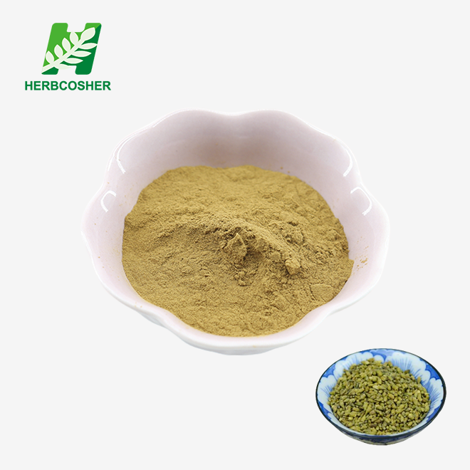 Rutin Extract